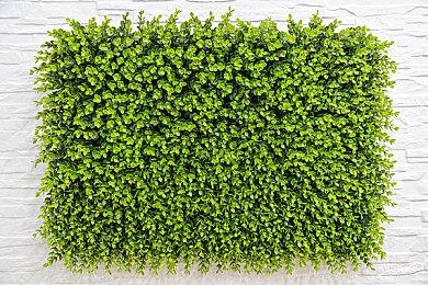 任天堂高管：《猎天使魔女3》开发顺利、请保持关注